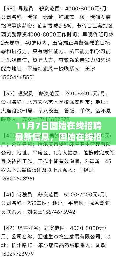 揭秘固始在线招聘新篇章,揭秘十一月七日最新招聘信息背后的故事