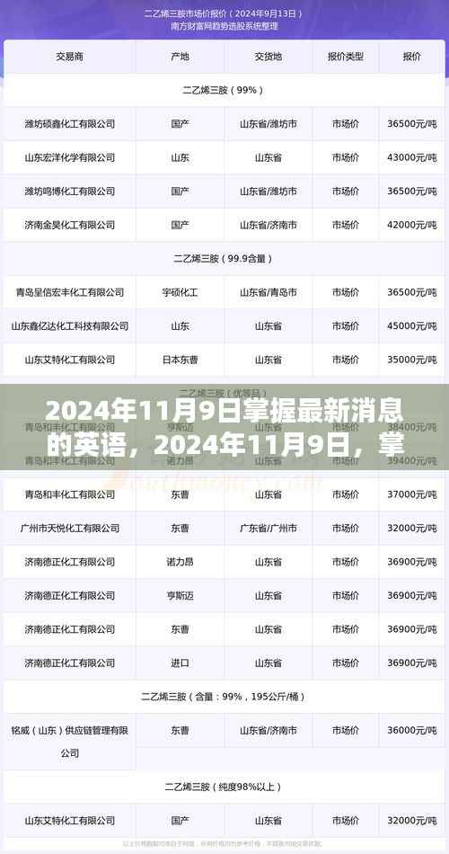 掌握最新消息英语,洞悉全球动态在2024年11月9日