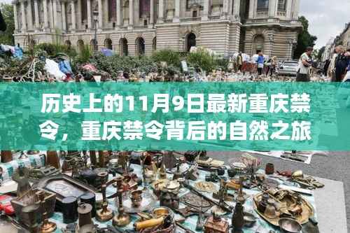 重庆禁令背后的自然之旅,一场心灵探险之旅的探寻与纪念