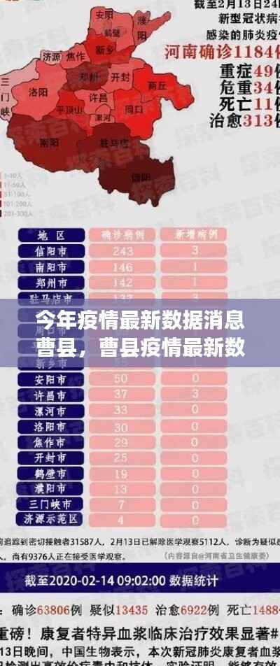 曹县疫情最新数据解读,一步步掌握今年疫情动态查询指南