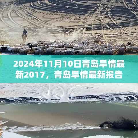 青岛旱情现状报告(回顾至2024年11月10日)