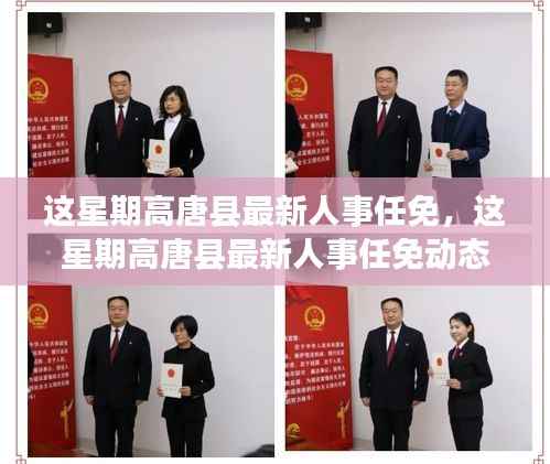 高唐县最新人事任免动态发布,本周人事调整一览
