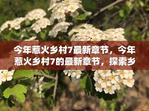最新章节揭示,乡村发展的三大要点——今年惹火乡村7