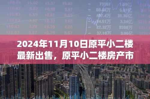 2024年11月原平小二楼房产市场最新动态及出售信息解析