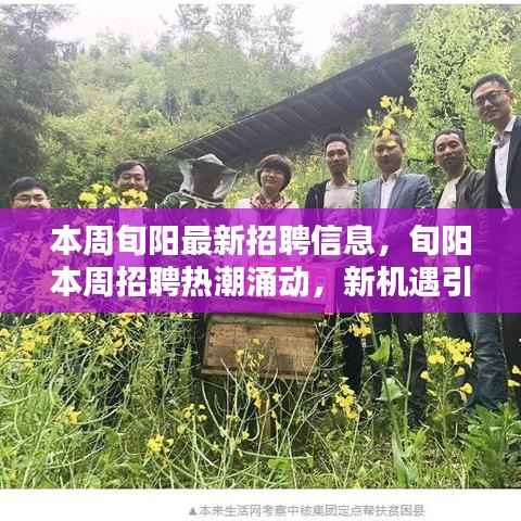 旬阳本周招聘热潮,新机遇引领就业风向,最新招聘信息一览无余