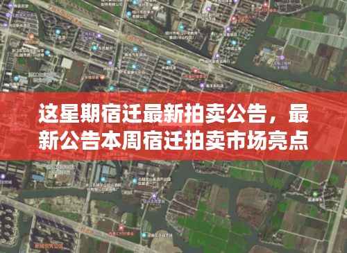 本周宿迁拍卖市场亮点解析,最新拍卖公告发布!