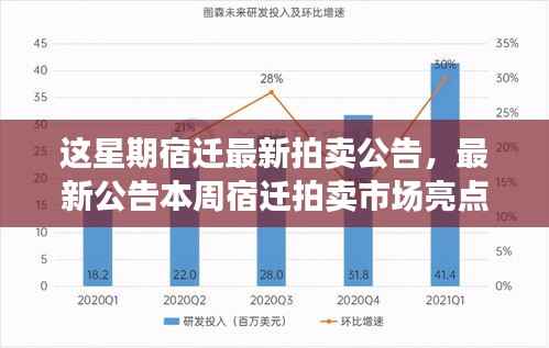 本周宿迁拍卖市场亮点解析,最新拍卖公告发布!