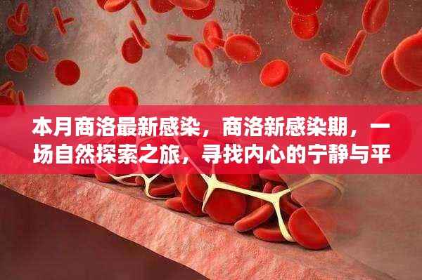 商洛新感染期,自然探索之旅寻求内心宁静与平和