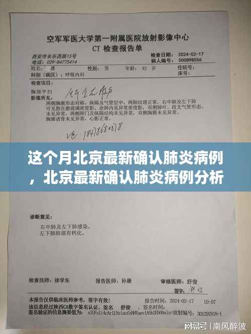 北京最新确认肺炎病例分析,多方视角的探讨与个体见解观察