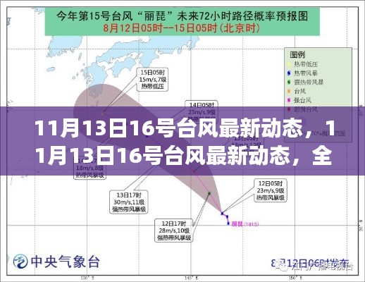 11月13日台风最新动态,全面解析台风进展与影响