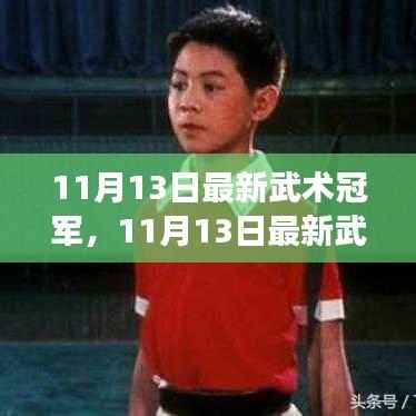 武术新星背后的故事，天赋与努力的完美结合，最新武术冠军揭秘