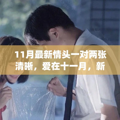 爱在十一月,新情头背后的温馨故事与最新情侣头像分享