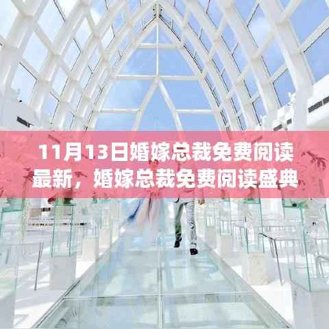 婚嫁总裁背后的故事与深远影响,揭秘盛典与免费阅读最新进展