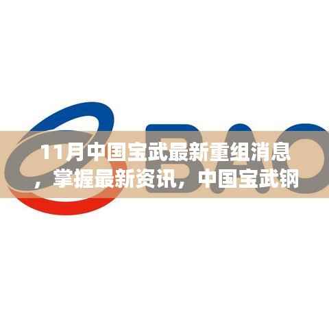 中国宝武钢铁集团11月重组最新消息详解,掌握最新资讯与步骤揭秘