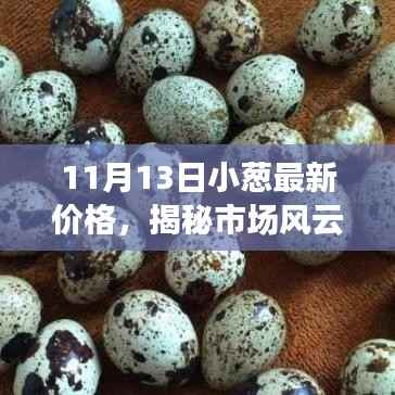 揭秘市场风云,11月13日小葱最新价格走势观察