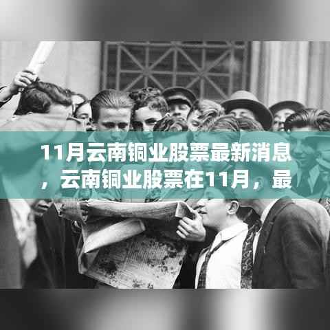 11月云南铜业股票动态,最新消息、背景分析、行业地位及影响全解析