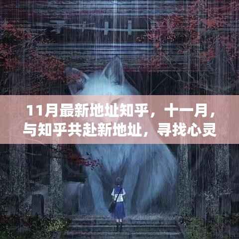 知乎十一月新地址探索,寻找心灵静谧的角落