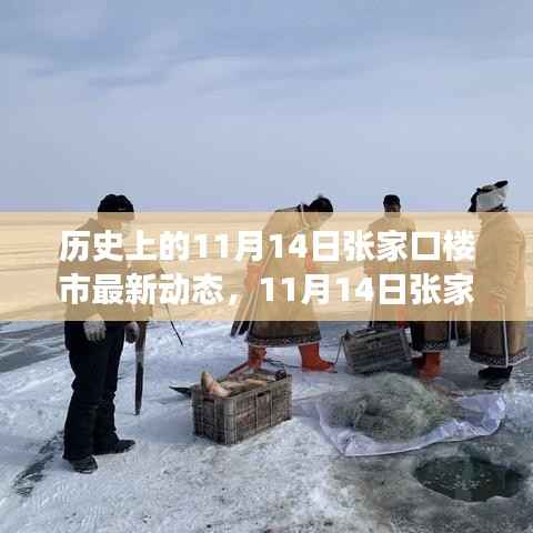 透视张家口楼市变迁,历史动态深度解析与未来趋势展望(日期标注版)