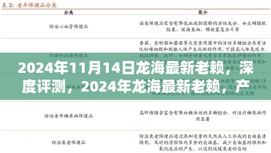 2024年龙海最新老赖深度评测,产品特性、使用体验、竞品对比及用户群体分析