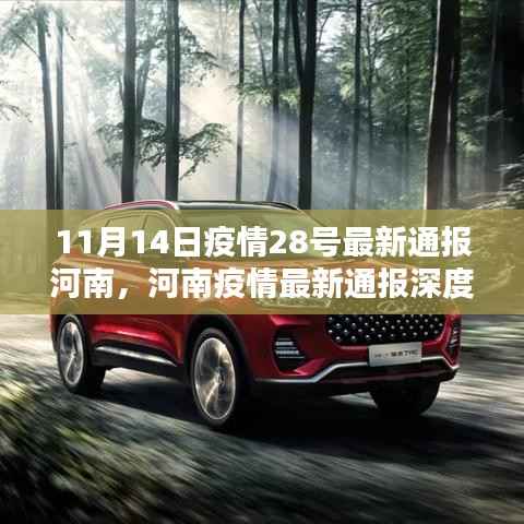 河南疫情最新通报深度解析与竞品对比分析,特性、体验与用户群体分析报告(11月14日版)