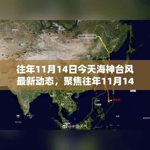 聚焦往年11月14日台风海神动态，深度探讨与观点阐述