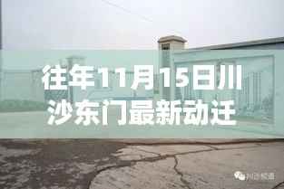 川沙东门动迁新篇章，变化中的学习，自信与成就感的源泉历年11月15日最新动态解析