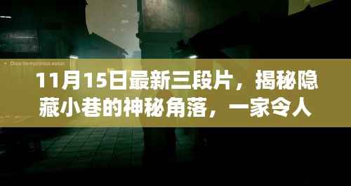 11月15日最新三段片,揭秘隐藏小巷的神秘角落,一家令人陶醉的11月15日最新三段片特色小店