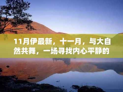 在线留言 第322页