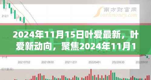叶爱最新动态揭秘，深度解读与观点碰撞聚焦于2024年11月15日
