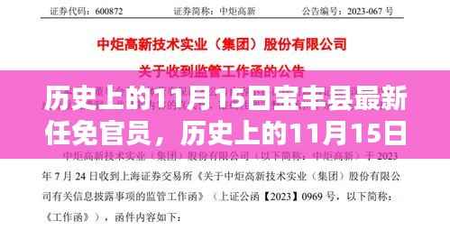 历史上的11月15日宝丰县最新任免官员,历史上的11月15日宝丰县官员任免探析,某某观点阐述