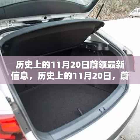 历史上的11月20日蔚领最新信息概览