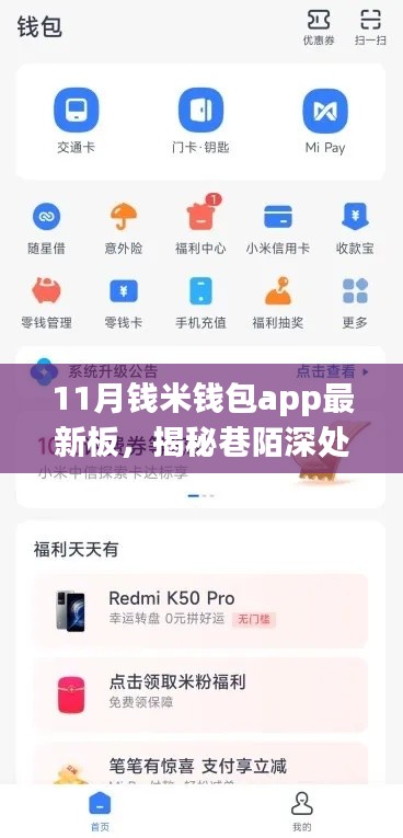 11月钱米钱包app最新板,揭秘巷陌深处的宝藏,11月钱米钱包app最新板带你探秘特色小店的故事