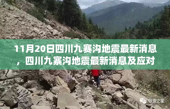 四川九寨沟地震最新消息及应对指南,初学者与进阶用户必备指南(11月20日更新)