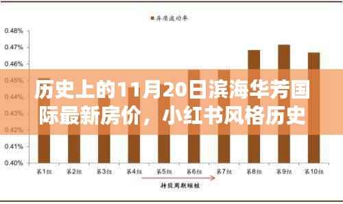 历史上的11月20日滨海华芳国际房价揭秘，小红书风格最新房价信息