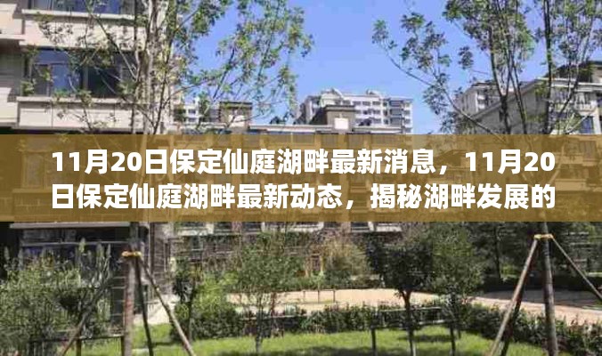揭秘保定仙庭湖畔最新动态,繁荣发展的面貌在11月20日的最新消息中展现