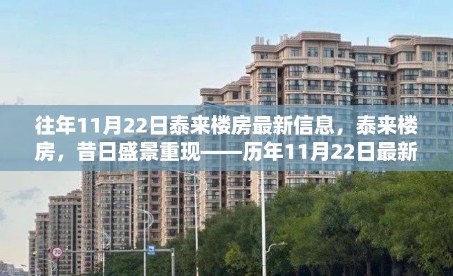 历年11月22日泰来楼房最新信息深度解析,昔日盛景重现的楼市动态