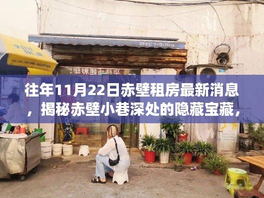 赤壁隐藏宝藏揭秘,特色租房小店的故事——历年11月22日赤壁租房最新消息