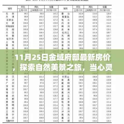 11月25日金域府邸最新房价揭秘,心灵遇见静谧港湾的自然美景之旅