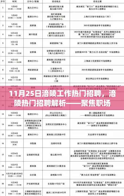 聚焦职场机遇与挑战交汇点,涪陵热门招聘解析与职场指南(11月25日)