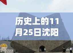 历史上的11月25日与沈阳最新疫情,多维度视角下的深度观察与探讨