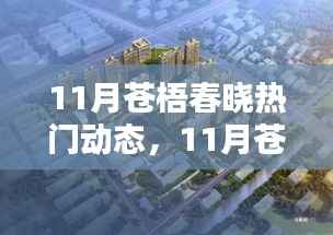 11月苍梧春晓热门动态下的多元观点探析——聚焦热门动态与观点探析