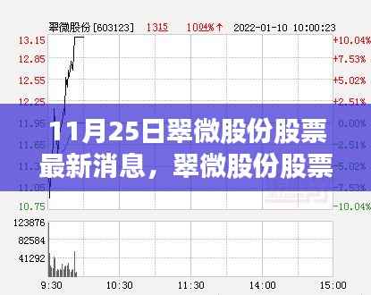 翠微股份最新动态解析与展望，深度解析股票消息及领域地位展望（11月25日）