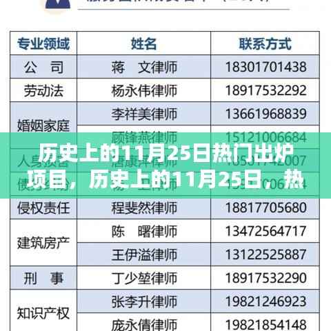 历史上的11月25日,热门出炉项目的多维度解析与观点分享