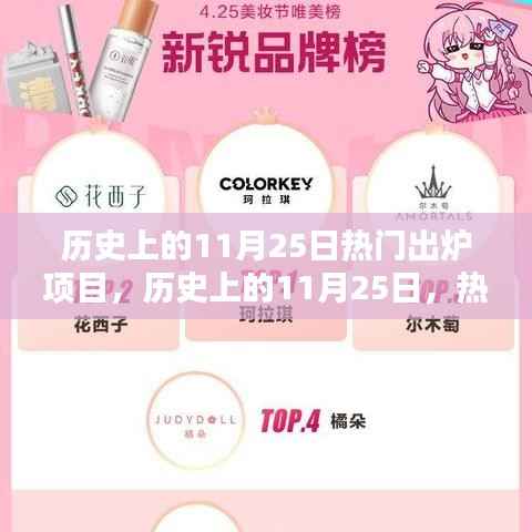 历史上的11月25日,热门出炉项目的多维度解析与观点分享