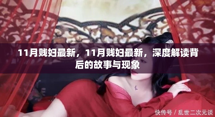 11月贱妇现象深度解读，背后的故事与探讨