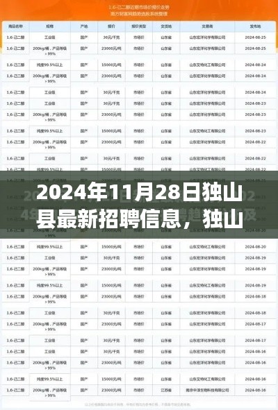 独山县最新招聘信息详解,职场人的新选择(2024年11月28日)