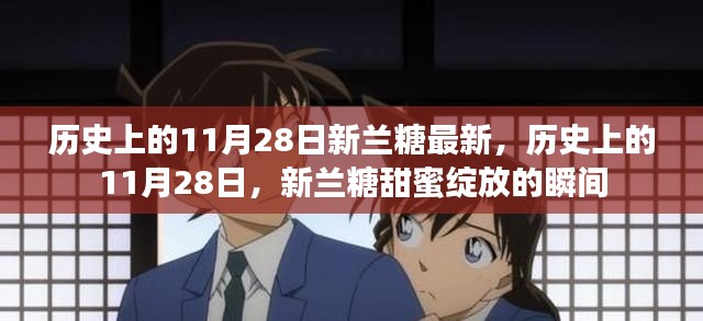 历史上的11月28日,新兰糖的甜蜜瞬间回顾