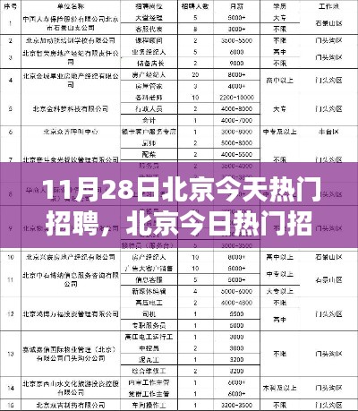 北京今日热门招聘大盘点,超火热职位挑战与小红书求职攻略热议