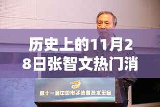 揭秘历史上的张智文热门消息，揭秘11月28日的那些事儿
