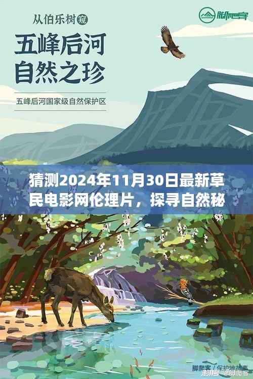 最新草民电影网伦理片启示录,探寻自然秘境的心灵之旅猜想与期待